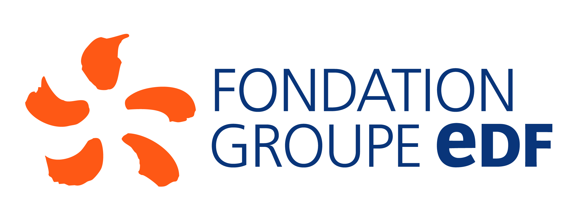 logo_fondation-groupe-edf_RVB